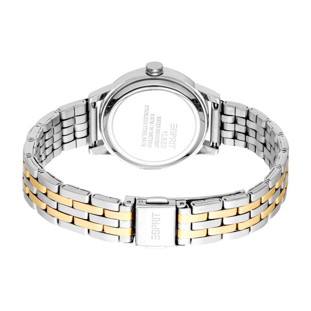 Women Catherine Two Tone Watch Set - Image 4