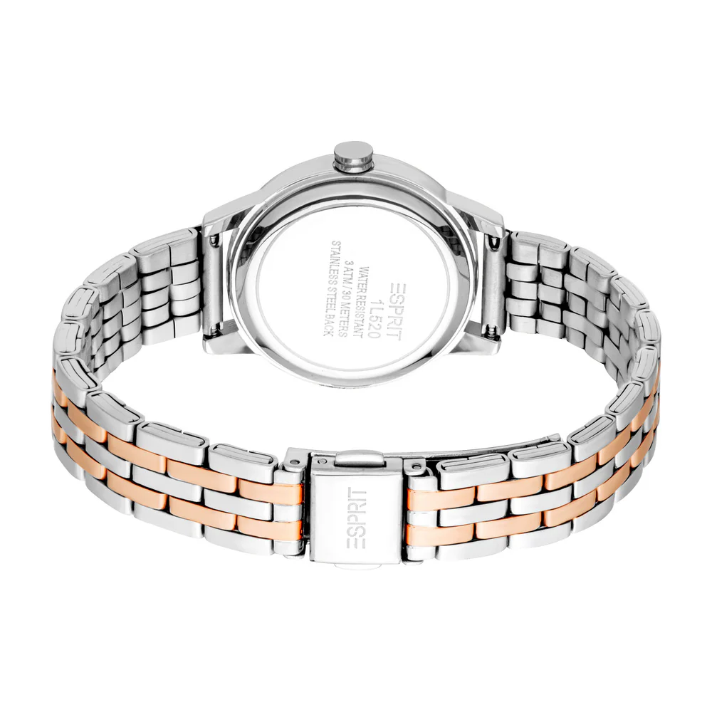 Women Catherine Two Tone Watch Set - Image 4