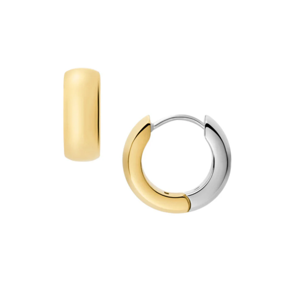 Women Ellis Two Tone Earrings - Image 4